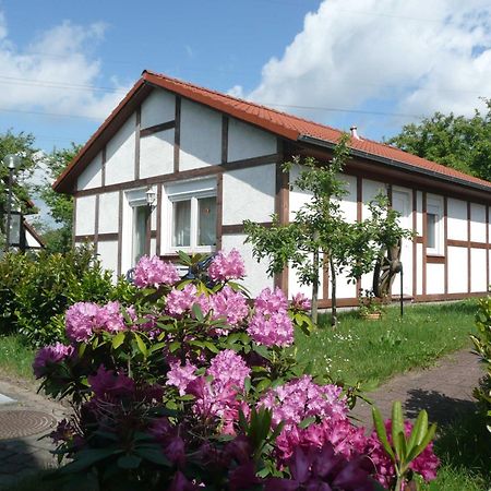 Ferienhaus Kogge Im Feriendorf Alt Bachenbrock 외부 사진
